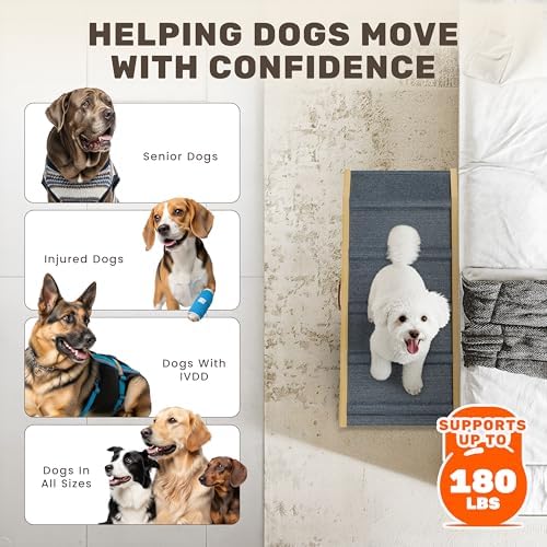 Foldable Dog Ramp for Couch - Image 6