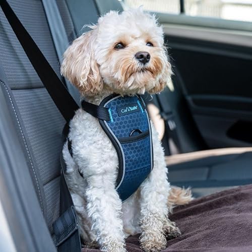Carsafe Crash Tested Dog Harness Blue X Small - Image 2