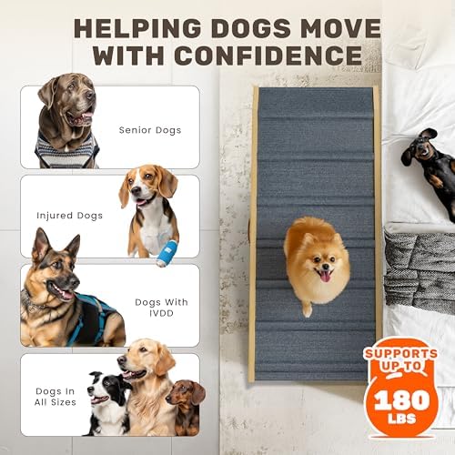 Foldable Dog Ramp for Couch - Image 6