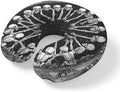 Neck Pillow for Travel, Horror Skull Halloween Black Memory Foam U Shaped by Unknown