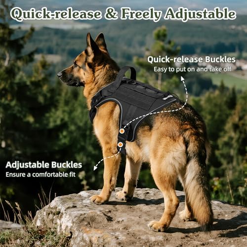 VavoPaw Heavy Duty Tactical Dog Harness - Image 4