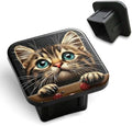 Hitch Cover Cute Tabby Kitten by Unknown