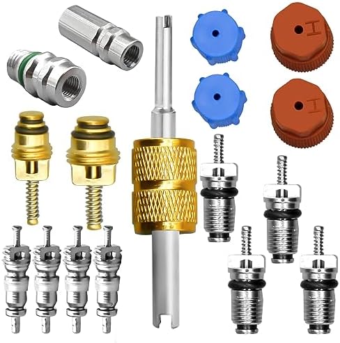 CANIPHA 17 Pcs Air Conditioning Valve Core Kit, R12 to R134a Conversion Kit by Unknown