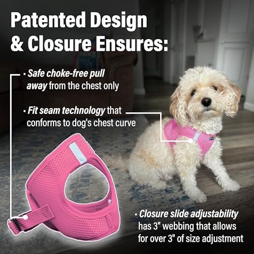 Doggie Design Dog Harness - Image 3