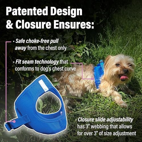 Doggie Design Dog Harness - Image 3